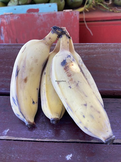 Fresh fruit - they had bananas, coconut, papaya, and mango when we visited.  at The Thai and Smoothie Place in Waimea