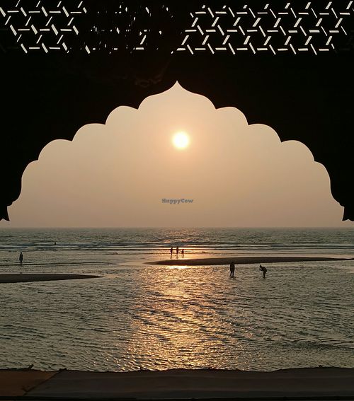 The view from the restaurant. at Chia Lounge in Morjim