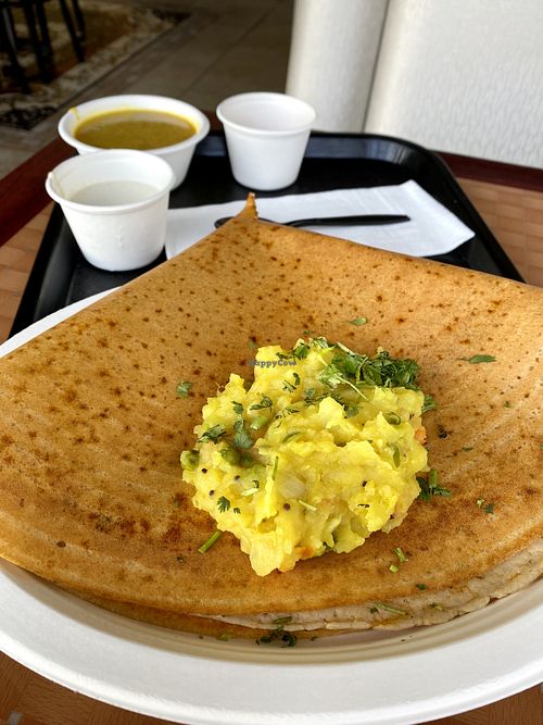 Onion Chili Mysore Masala Dosa at Saivam in Anaheim