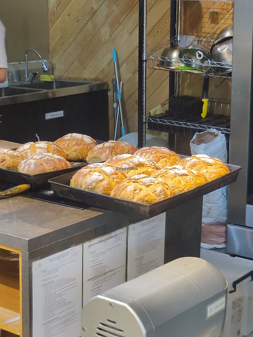 Fresh bread at Foody Healthy Bakery - Veg Art Naturals in Ulaanbaatar