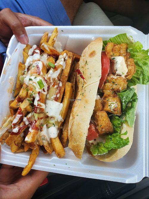 Paisley Vegan Kitchen Melbourne Florida Restaurant HappyCow