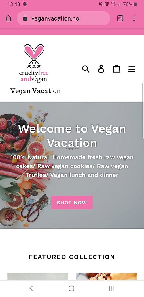 Vegan food in Bergen at Vegan Vacation in Bergen