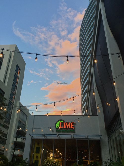 outdoor seating at Thatch in Miami