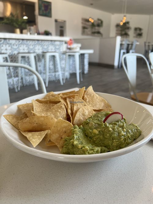 Starter - House Guacamole   at The Village in San Diego