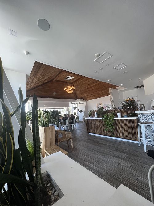 Beautiful plants   at The Village in San Diego