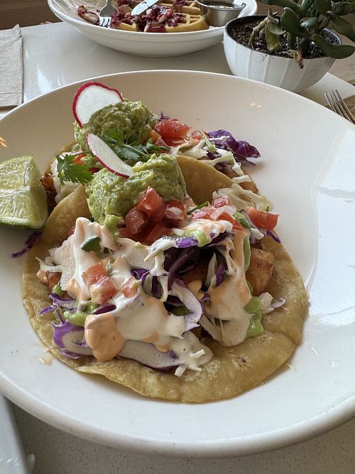   at The Village in San Diego