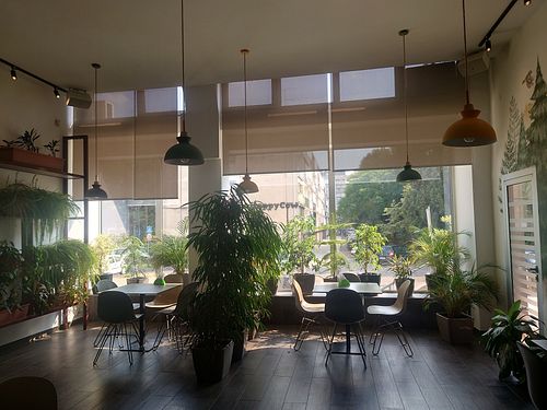 Inside at Paradise Food in Podgorica