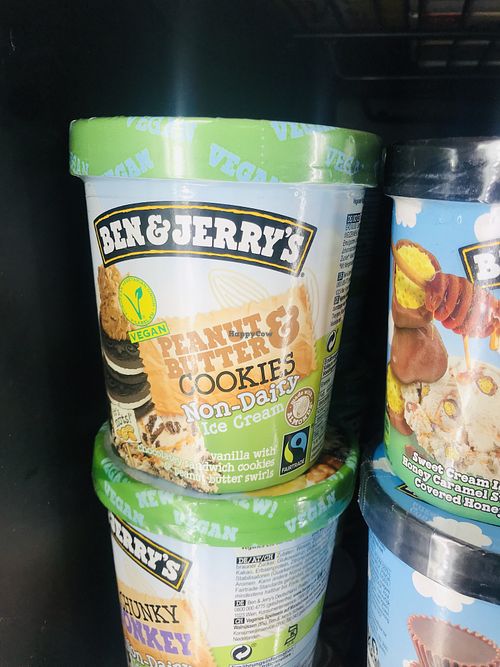 Vegan ice cream  at Baronesha in Tirana