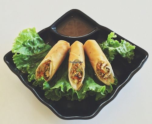 Appetizer at Loving Hut in Houston