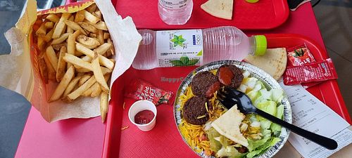 Falafels were pretty good, but it's a pretty dry plate without the white sauce. Fries were a very big portion for the price, definitely enough to split between two people. at The Halal Guys in Seoul