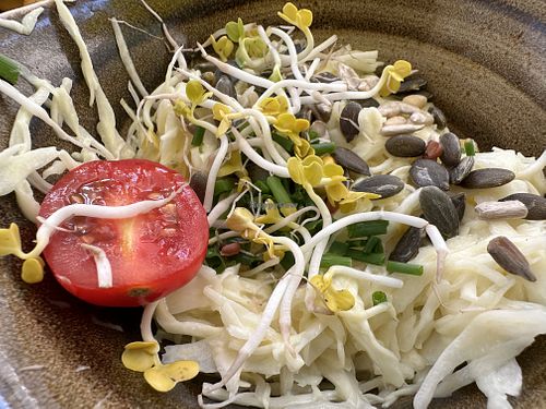 side salad 🥗 cole slawish  at Hans im Glück in Saarlouis