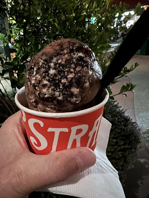 Chocolate hazelnut cookies & cream   at Downtown Disney - Salt & Straw in Anaheim