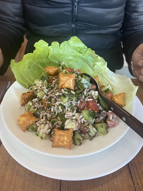   at Habibi in San Luis Potosi
