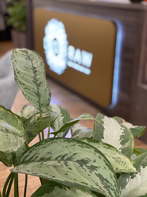 Enter at Dobraw in Moscow