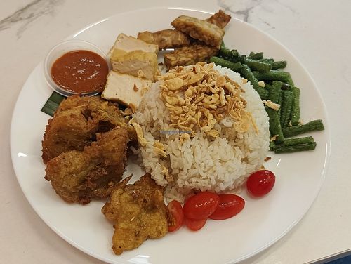 Ayam penyet rice at Botanict 豐之素 in West Singapore