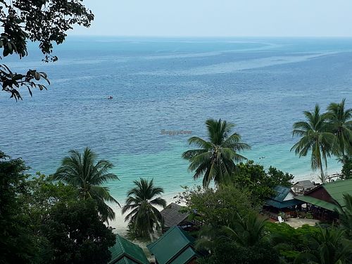 View at What's Cup! in Koh Phangan