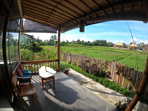 Ricefield garden view💗peaceful and nice breze.  at Vegan Healing Garden in Ubud