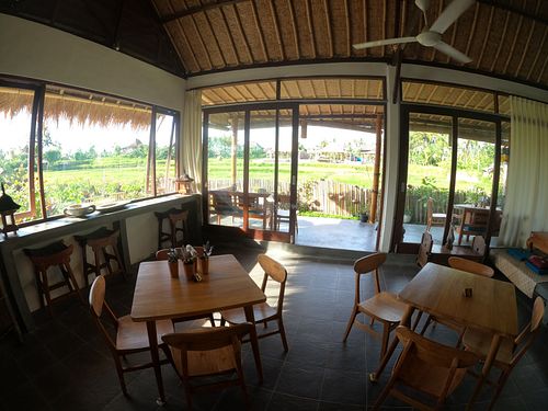 view from inside.😄 at Vegan Healing Garden in Ubud