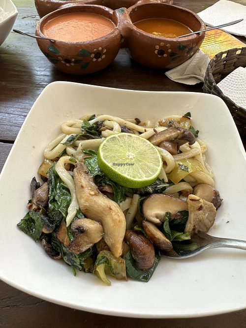 Udon noodles with shiitake mushrooms  at Yasmina's Itzalanyasayan in San Francisco