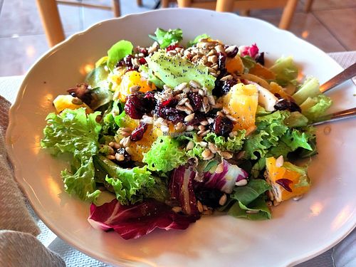 Salad with orange at Vakhos Taverna - Βάκχος Ταβέρνα in Delphi