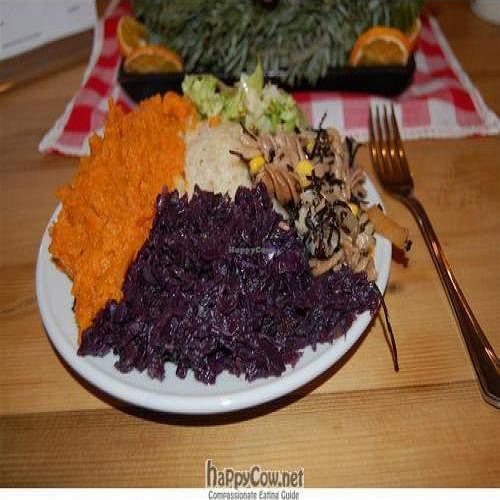 plate of the day - mashed sweet potato, red cabbage, wheat pasta salad, green salad, and something like polenta at Makro 1 in Vienna