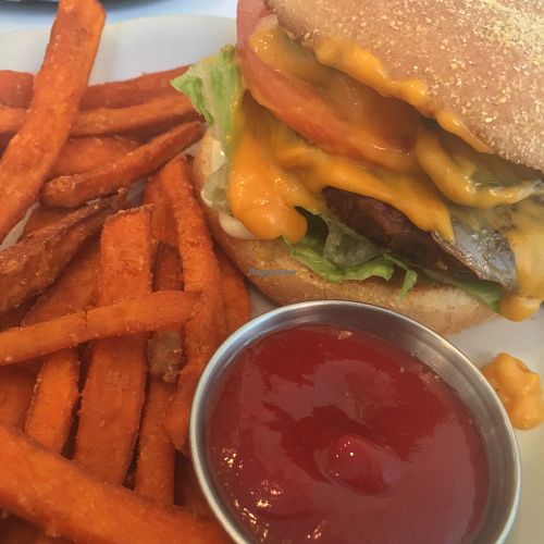 burger with cheese and sweet potato fries- this was amazing. bun was warm and toasty, had pickles, tomato, lettuce, mayo, the cheese was super melty and surprisingly tasty (not like most plasticy vegan cheese), and the meat was so flavourful and great texture (made with brown rice and oats) at Alice & Friends' Vegan Kitchen in Chicago