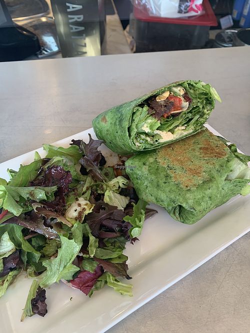 Veggie wrap!  at Zenzero Kitchen in Coppell