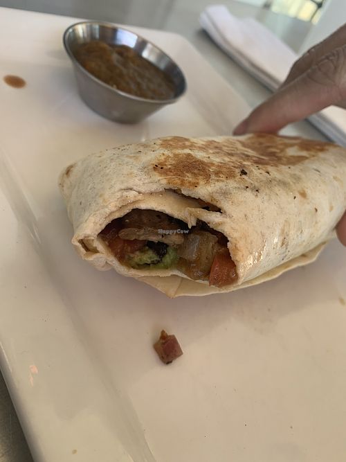 Vegan breakfast burrito!  at Zenzero Kitchen in Coppell