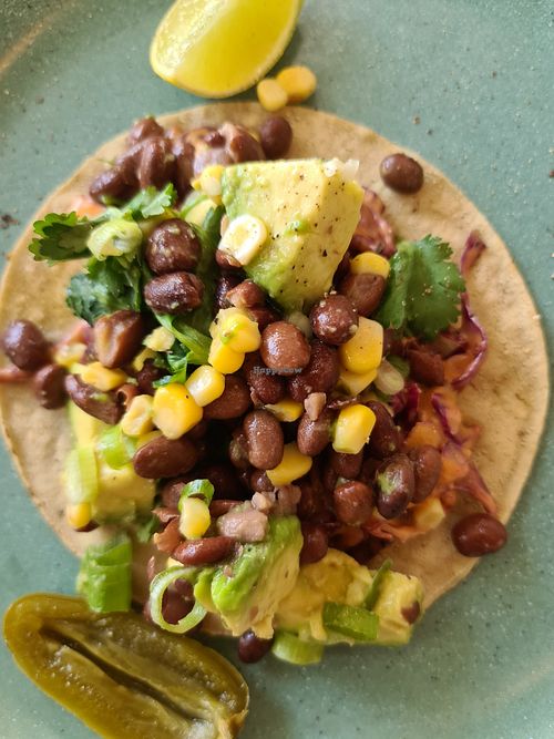 Tortilla with black beans, corn, red cabbage, avocado, onion, coriander, vegan chipotle mayo, jalapeno & lime at Willow Wine Cafe in Kingsville