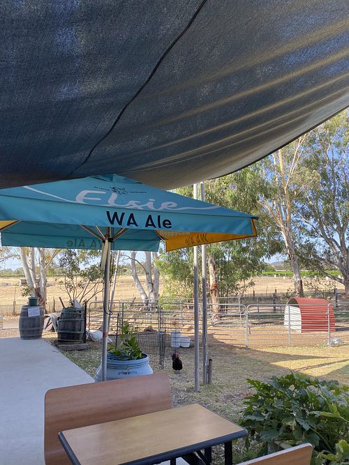 Outside seating. Local brew on tap   at Swan Valley Gourmet Farm Cafe in Baskerville