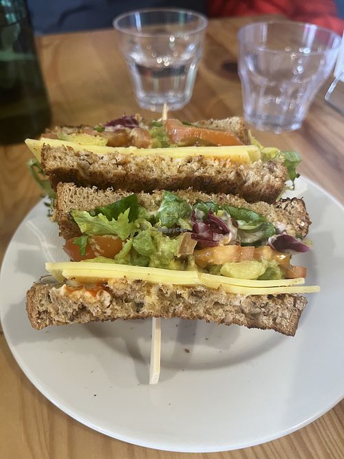 Cheese and avocado sandwich  at The Fix  in Burntisland