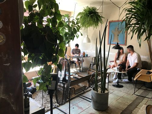 Window view at Acervo Café in Brasilia