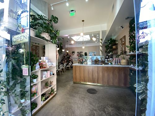 Interior   at Coffee And Plants in Pasadena