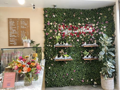 Interior   at Coffee And Plants in Pasadena