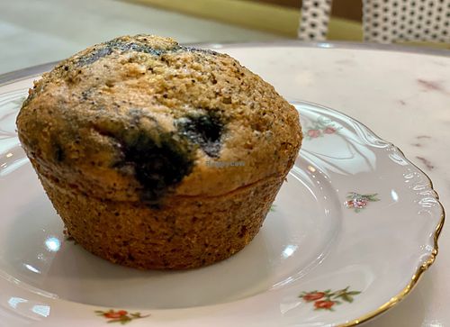 Blueberry poppy seed muffin at Coffee And Plants in Pasadena