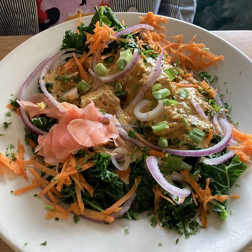 Ginger peanut kale bowl w/ grilled tofu  at Sluggo's North Vegetarian Cafe in Chattanooga