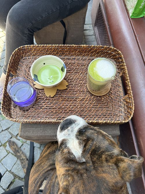 Delicious Matchas  at Marutcha in Lausanne