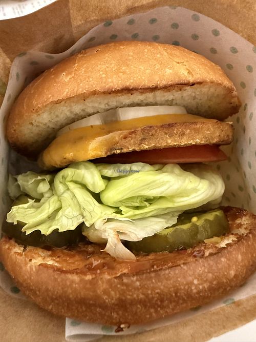 Single burger   at SFO - Amy's Drive Thru - T1 in South San Francisco