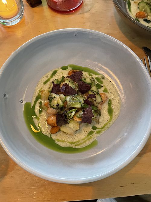   at Forest in Auckland