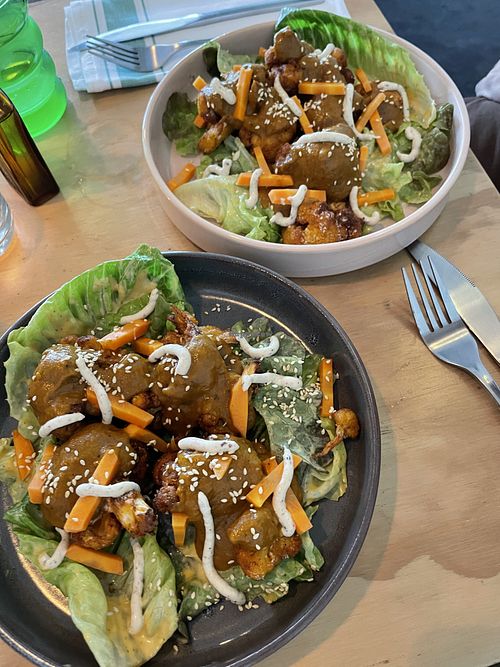   at Forest in Auckland