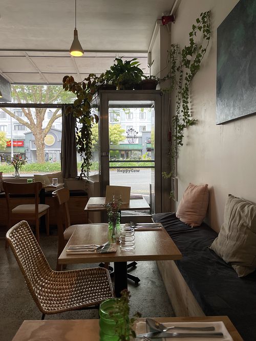   at Forest in Auckland