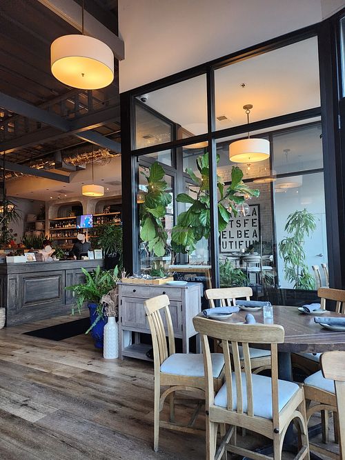 Gorgeous plants everywhere inside 🥰🪴💗 at Spirit Elephant in Winnetka