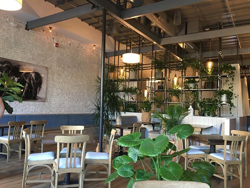 Interior  at Spirit Elephant in Winnetka