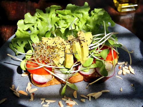 Avocado toast.  at Galapagos in Koh Lanta