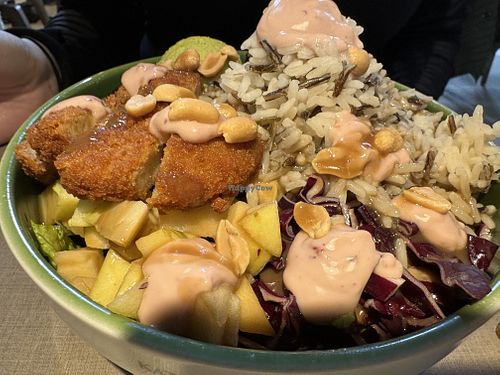 bowl  at Katzentempel in Regensburg