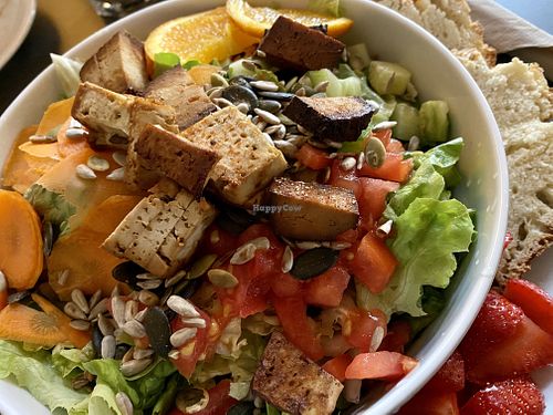 salad (good) at Katzentempel in Regensburg