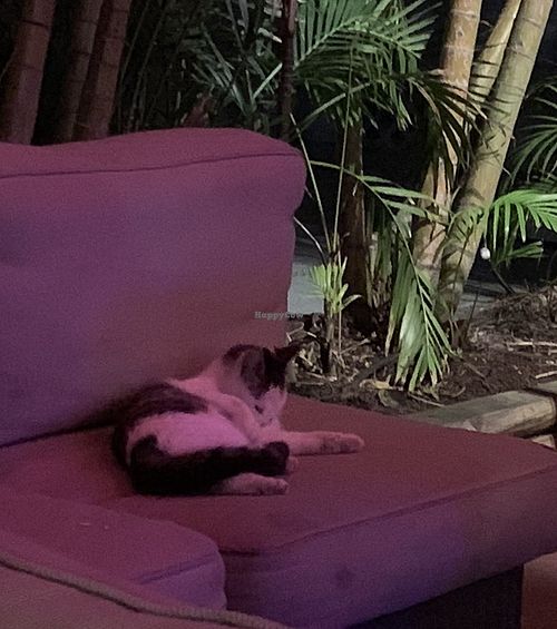 Live Entertainment! Ha ha  at Death or Glory Bar in Delray Beach