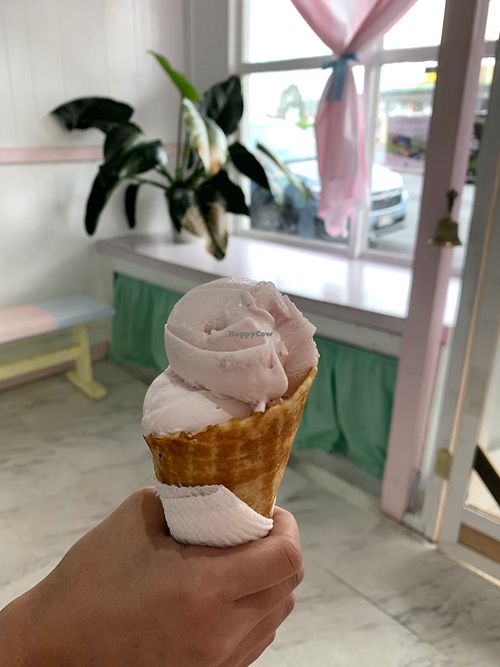 Yummy! at Nicoco Hawaiian Gelato in Hilo