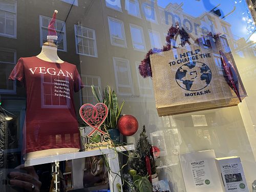 window  at VEGA-LIFE in Amsterdam