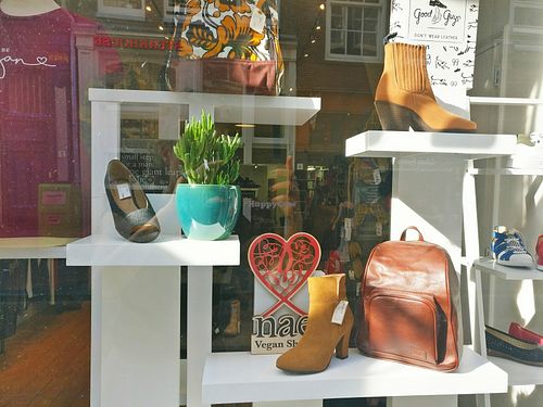 VEGA-LIFE etalage at VEGA-LIFE in Amsterdam